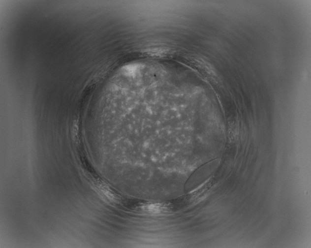 X0000073860365200609071639