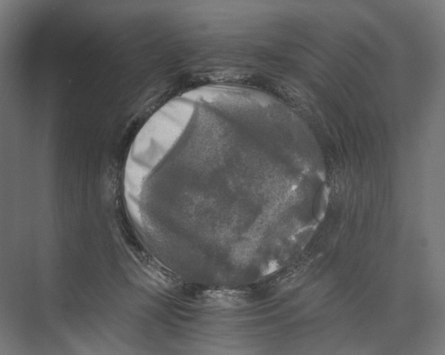 X0000073860367200609071639