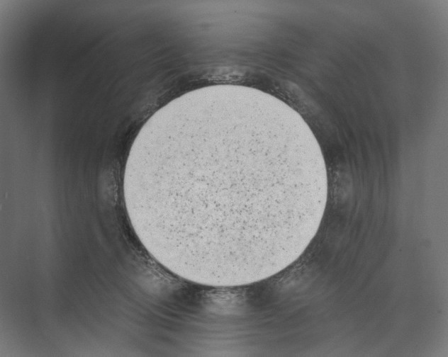 X0000073860370200609071639