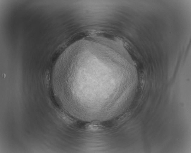 X0000073860372200609071639