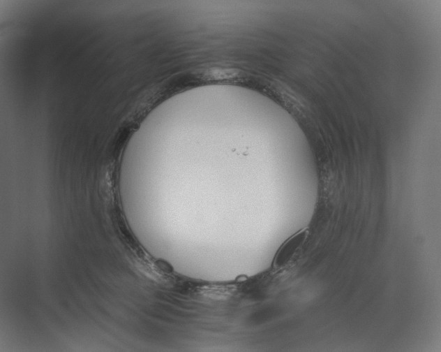 X0000073860373200609071639