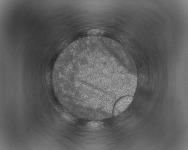 X0000073860375200609071639