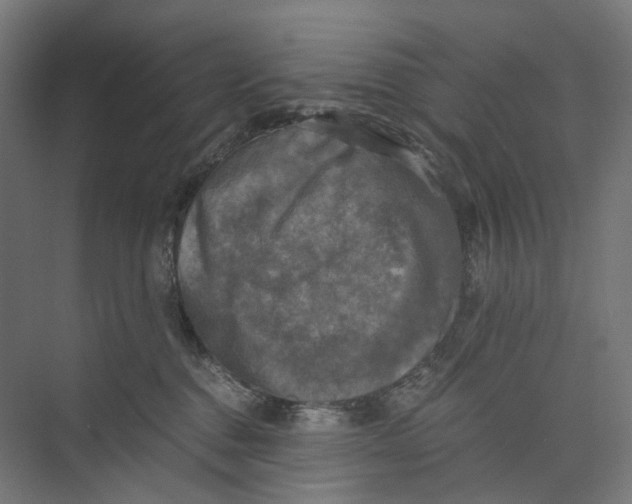 X0000073860376200609071639