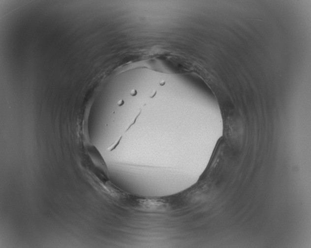 X0000073860380200609071639