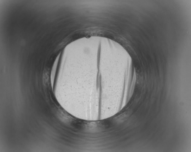 X0000073860382200609071639