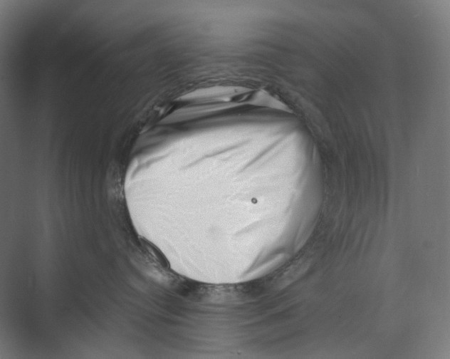 X0000073860384200609071639