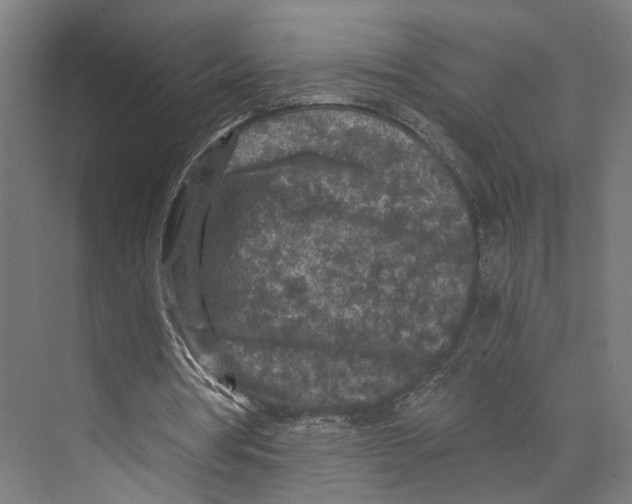 X0000073860386200609071639