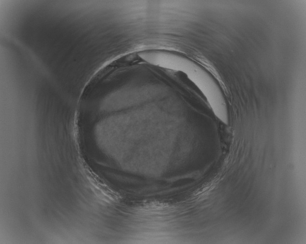 X0000073860387200609071639