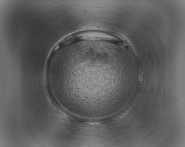 X0000073860388200609071639