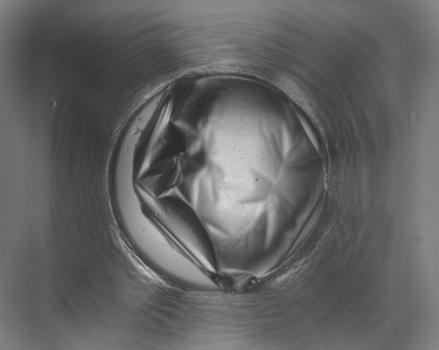 X0000073860389200609071638