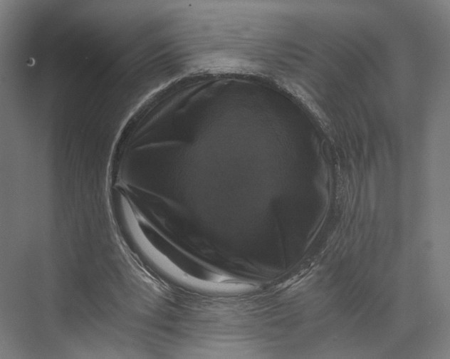 X0000073860391200609071638