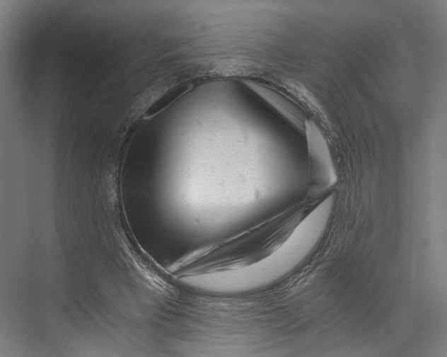 X0000073860393200609071638