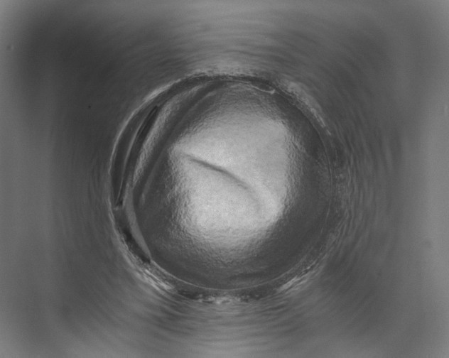 X0000073860395200609071638