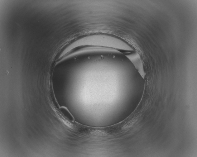 X0000073860397200609071638