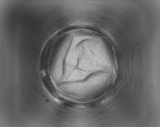 X0000073860399200609071638