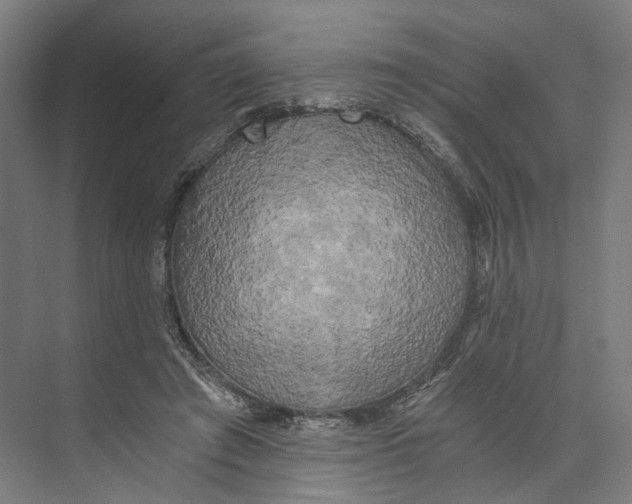 X0000073860401200609071638