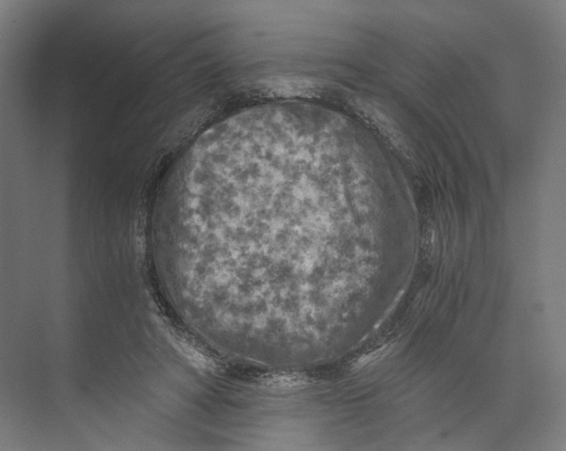 X0000073860402200609071638