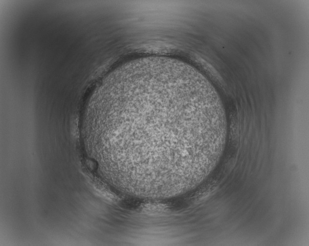 X0000073860403200609071638