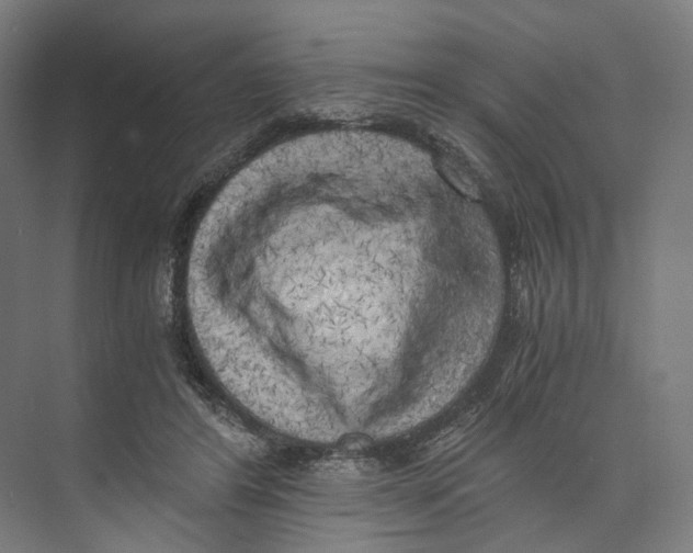 X0000073860404200609071638