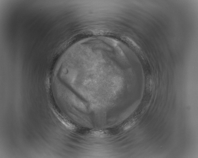 X0000073860405200609071638