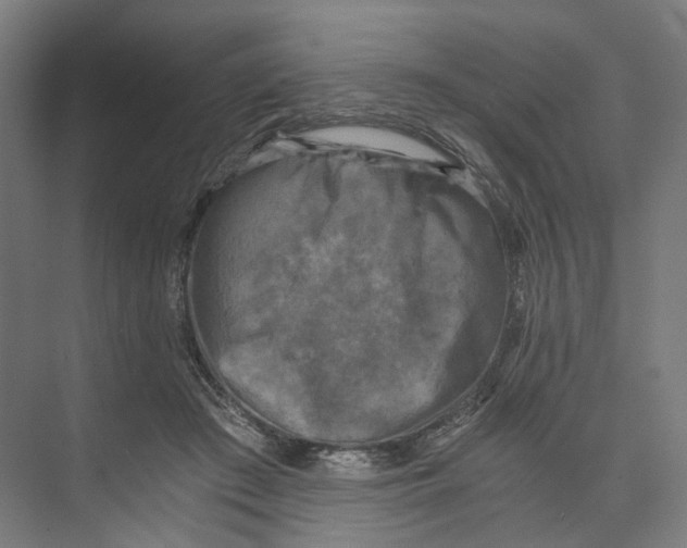 X0000073860409200609071638