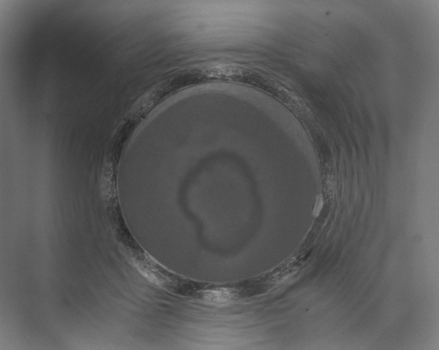 X0000073860411200609071638