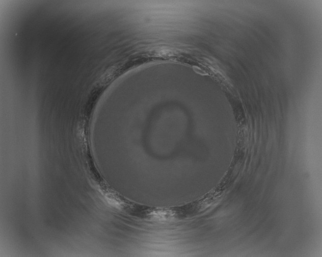 X0000073860415200609071638