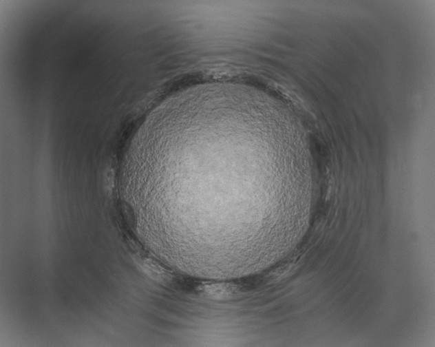 X0000073860417200609071638