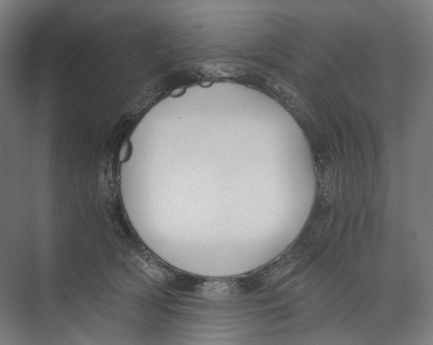 X0000073860418200609071638