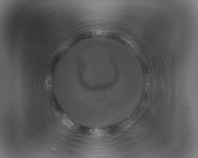 X0000073860419200609071638