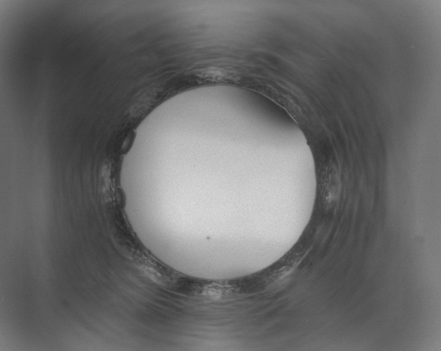 X0000073860420200609071638