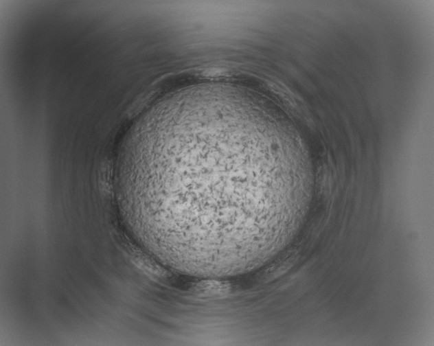 X0000073860421200609071638