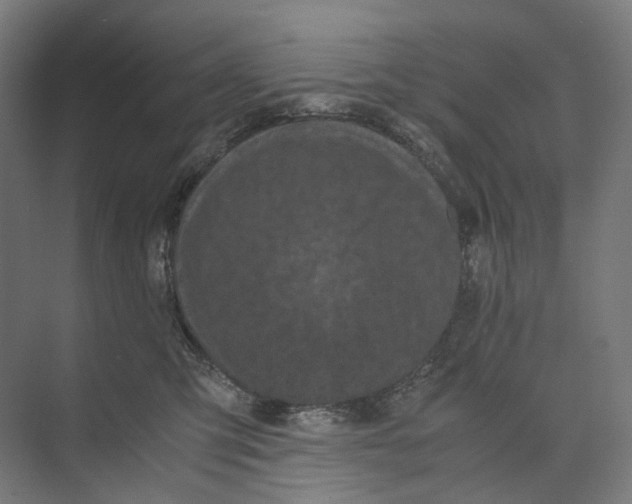 X0000073860423200609071638