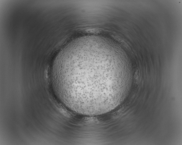 X0000073860424200609071638