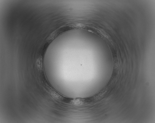 X0000073860425200609071638