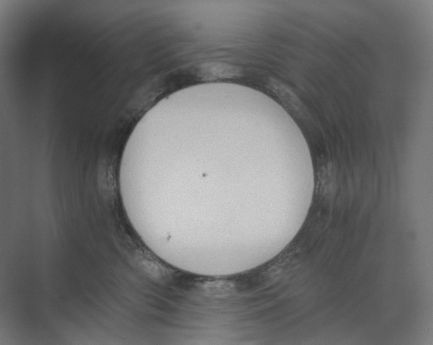 X0000073860426200609071638