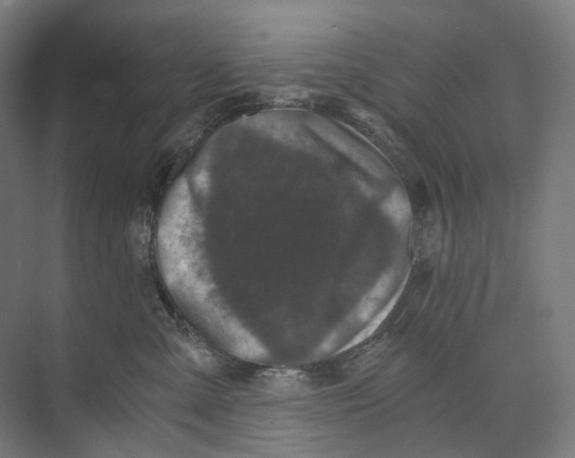 X0000073860427200609071638