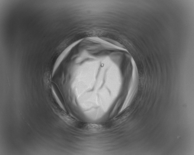 X0000073860429200609071638