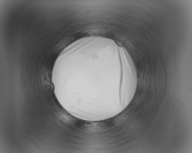 X0000073860430200609071638