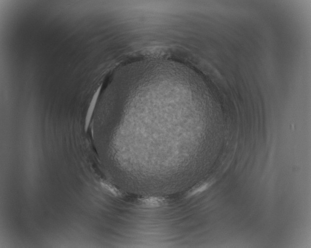 X0000073860432200609071638