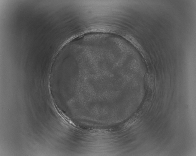 X0000073860434200609071637