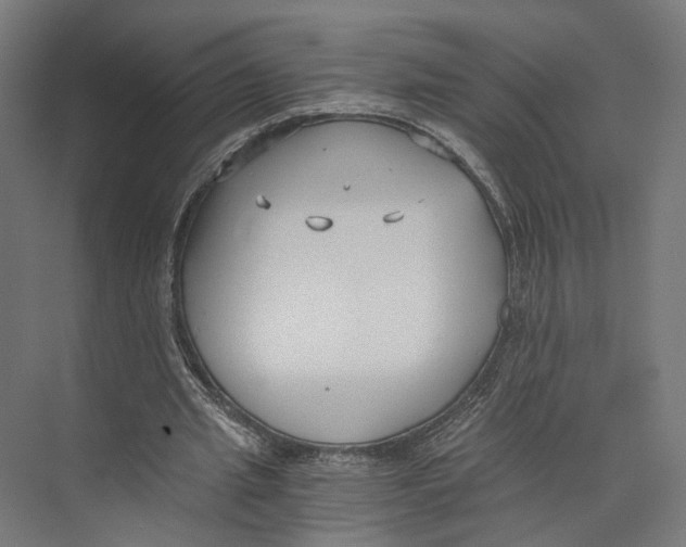 X0000073860437200609071637