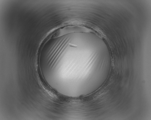 X0000073860438200609071637