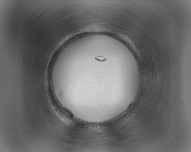 X0000073860439200609071637