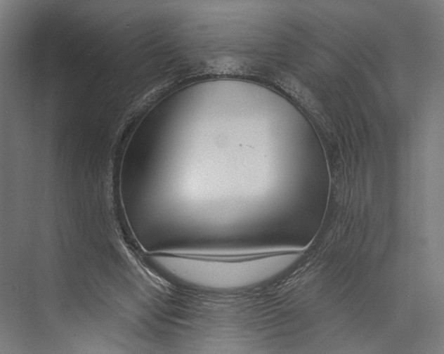 X0000073860442200609071637