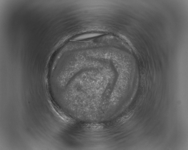 X0000073860443200609071637