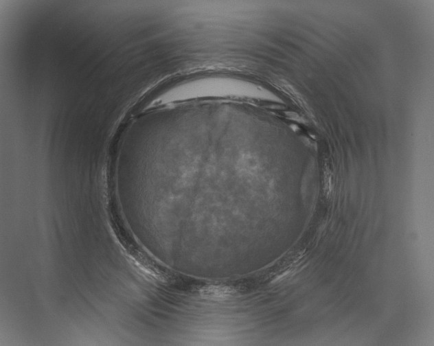 X0000073860444200609071637