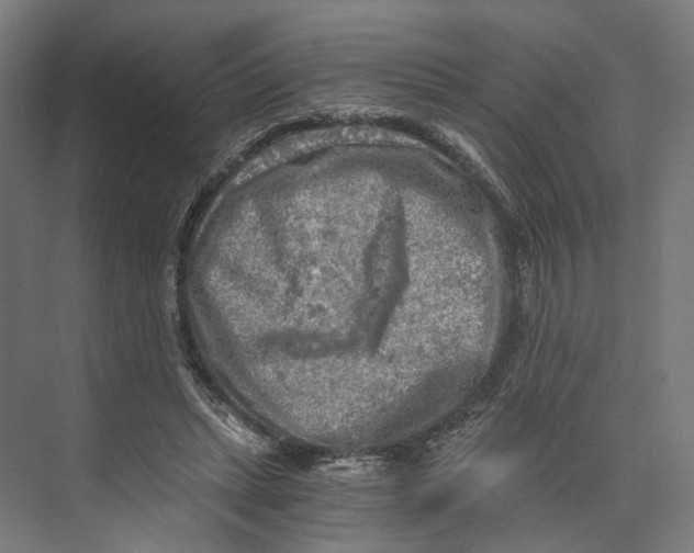 X0000073860447200609071637