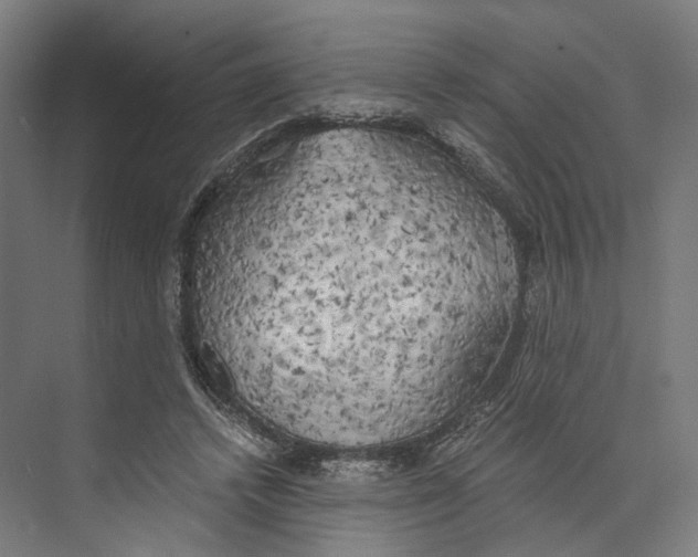 X0000073860448200609071637