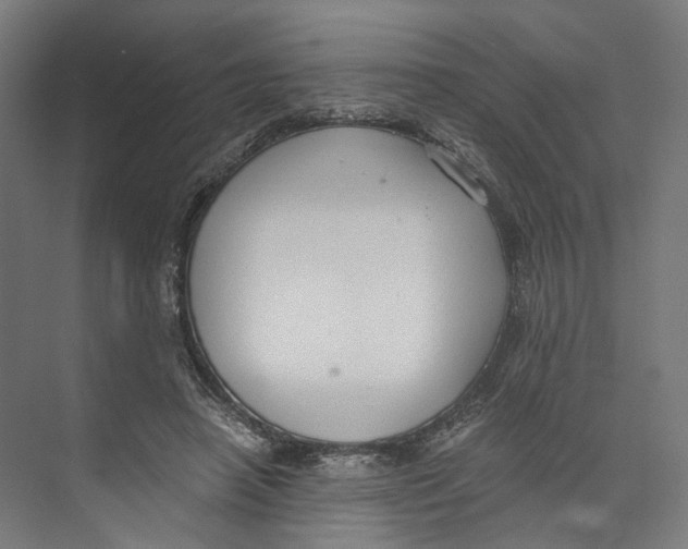 X0000073860450200609071637